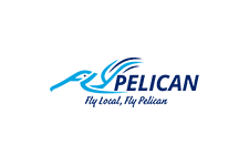 FlyPelican