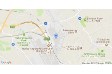 Токио Нарита